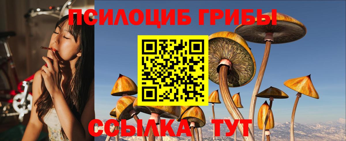 как найти закладки  Псилоцибиновые грибы GOLDEN TEACHER  Вход с VPN  Мариинск  Псилоцибиновые грибы Psilocybe 
